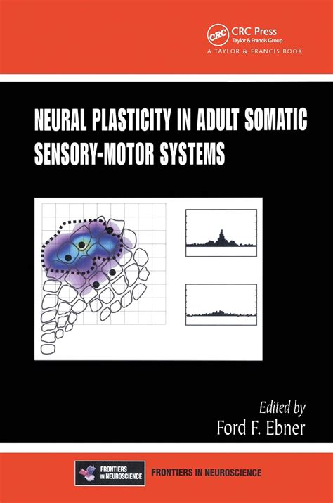 Buy Neural Plasticity in Adult Somatic Sensory-Motor Systems (Frontiers ...