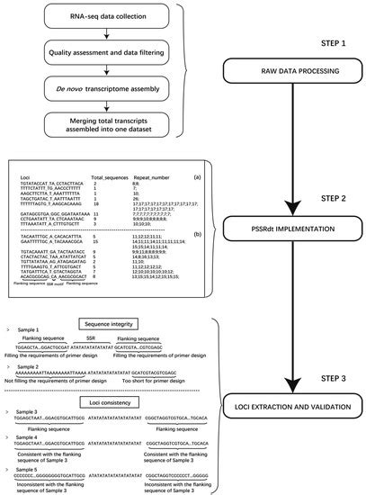 A Novel Software and Method for the Efficient Development of ...