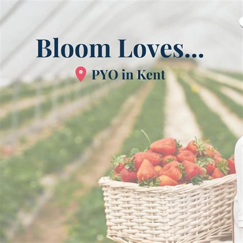 Extras and Experiences - Bloom Stays