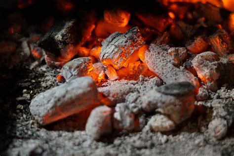 ¿Qué es el carbón vegetal? | Blog de Carbones Reinares