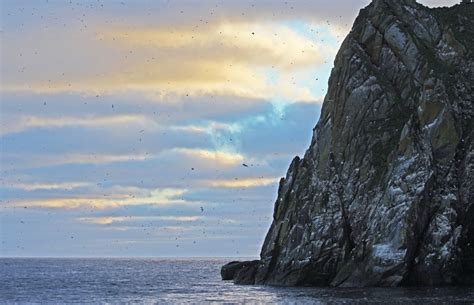 Du Vanuatu à l'île Macquarie, en Alaska, au Vietnam, au Groenland ...