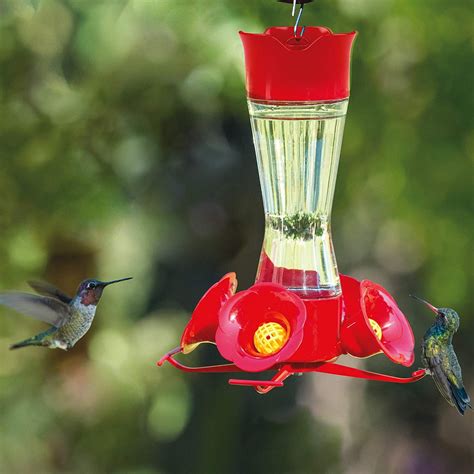 Perky-Pet 203CPBN Pinch Waist Glass Hummingbird Feeder - Walmart.com