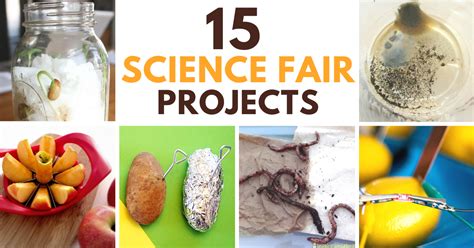 Elementary Science Fair Projects 的图像结果