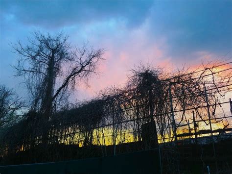 Shift 37: C. Spencer Yeh, Kwami Winfield // Thomas Dimuzio & Bob ...