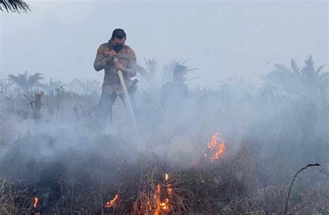 Kebakaran Lahan Meluas, 182 Hektare di Riau Hangus Terbakar ...