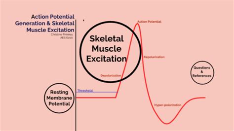 Image result for Skeletal Muscle Action Potential Graph