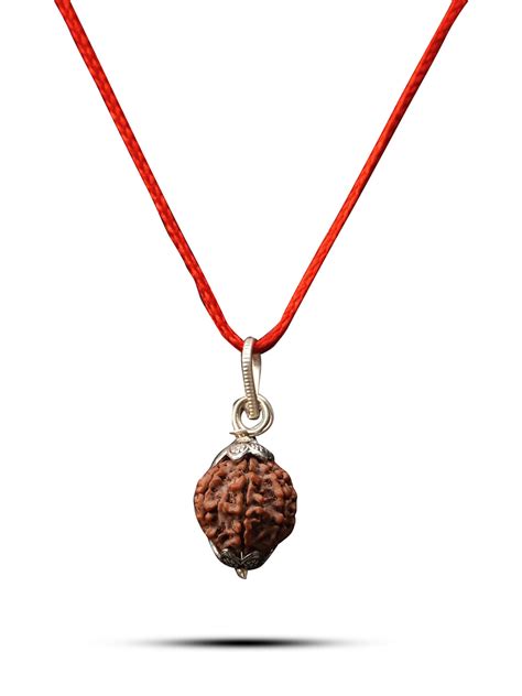 7 Mukhi Nepali Rudraksha - Saat Mukhi – Rudrajap