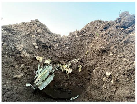 Design and Experiment of In Situ Soil-Lifting Shovel for Direct ...