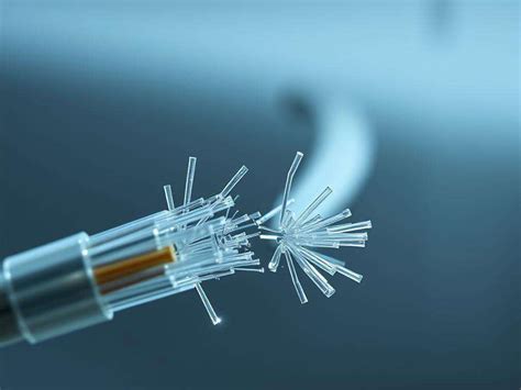 Services hit as server crashes at sub-registrar office in Margao