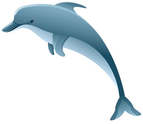 Free Dolphin Clipart at GetDrawings | Free download
