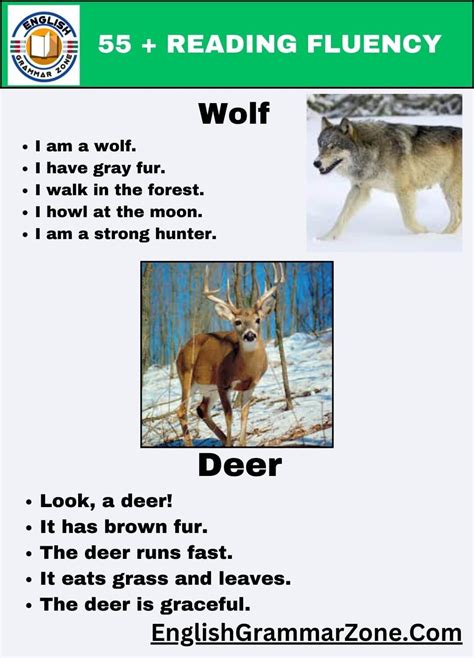 Image result for Fluency Exercises