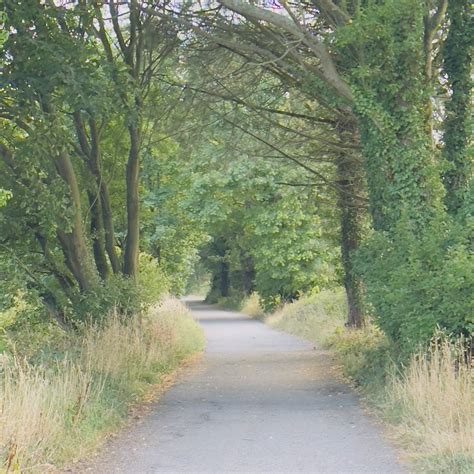MIDDLEWOOD FARM HOLIDAY PARK - 2026 Campground Reviews & Photos ...