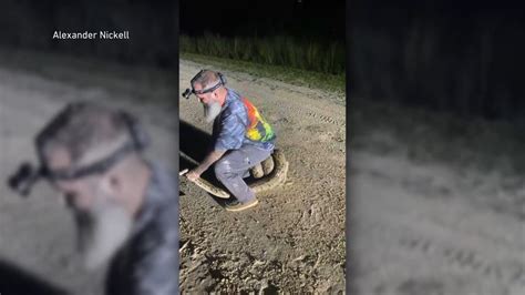 Image result for Catching Python's