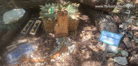 Fantastic Feathers: The Gardens and Sculptures - Zilker Park & Umlauf ...