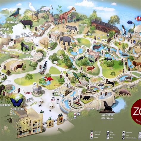 Group of animals with zoo sign 1503783 Vector Art at Vecteezy