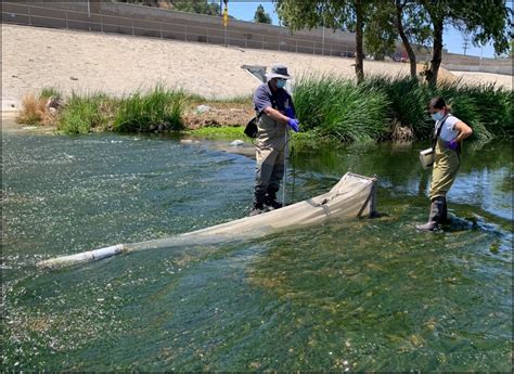 Image result for Manta Net for Microplastic Sampling