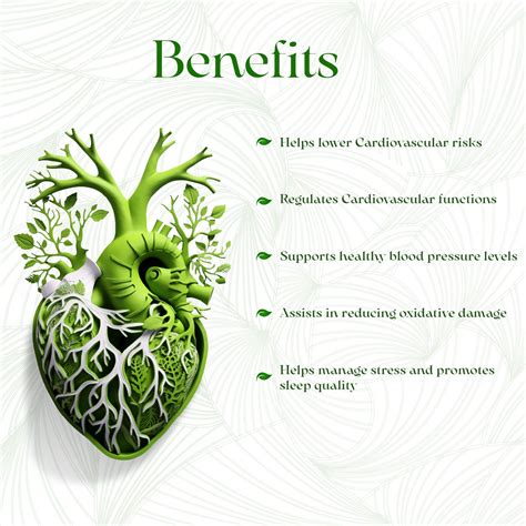 Cardojith Tablets 100 – Ayurvedic Heart Health Supplement – avpayurveda