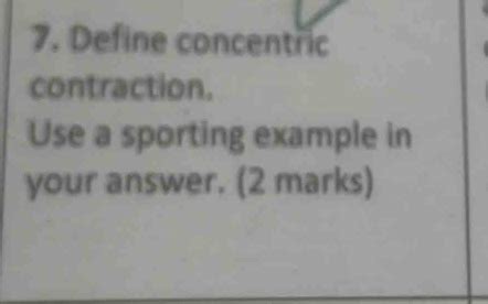 Examples of Concentric Contraction Exercises 的图像结果