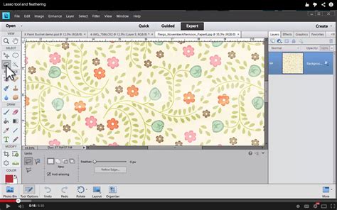 Image result for Lasso Tools Tutorial
