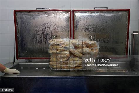 Image result for Processing Geese