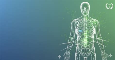 Physiotherapy – Best Ayurvedic Hospitals in Hyderabad, India | KSAC ...
