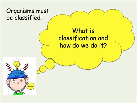 Image result for Classification Systems GCSE