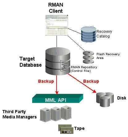 Image result for Rman Tutorial