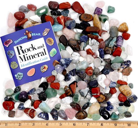 Piedras naturales pulidas más hoja de identificación educativa y libro ...