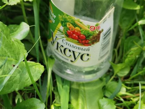 Соль и уксус против сорняков на участке