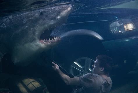 Scariest Shark Attack Ever