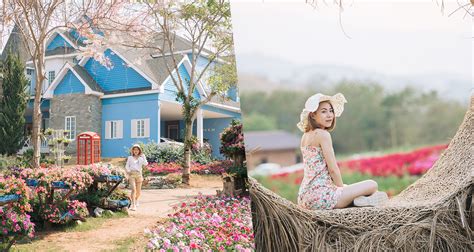 Flower Mountain Resort Top Sellers | sukan.co.in