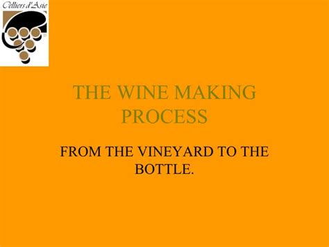 Wine Making Process 的图像结果