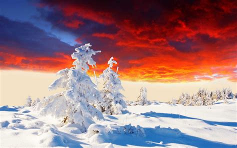 冬天的风景 - 绝美图库 - 华声论坛