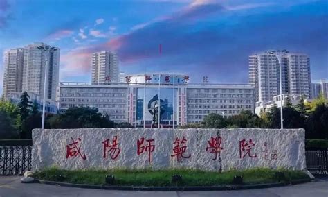 咸阳职院留学生荣获2022年第二届“丝路华语”世界大学生国际汉语大赛三等奖-咸阳职业技术学院