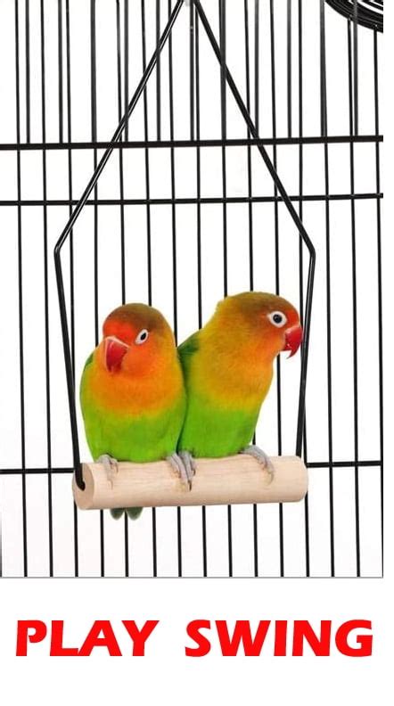 Buy Large 64-inch Open Top Rolling Stand Breeding Bird Parrot Cage With ...