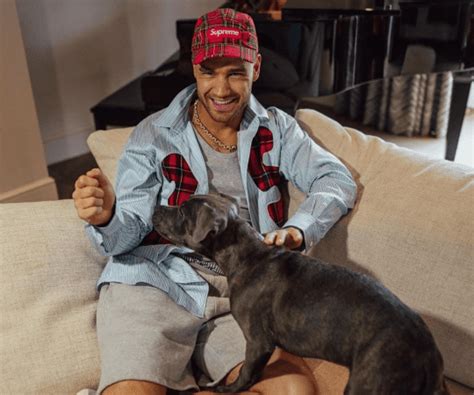 Liam Payne's Death Ruled As Accidental And Not Suicidal, 3 Accused Of ...