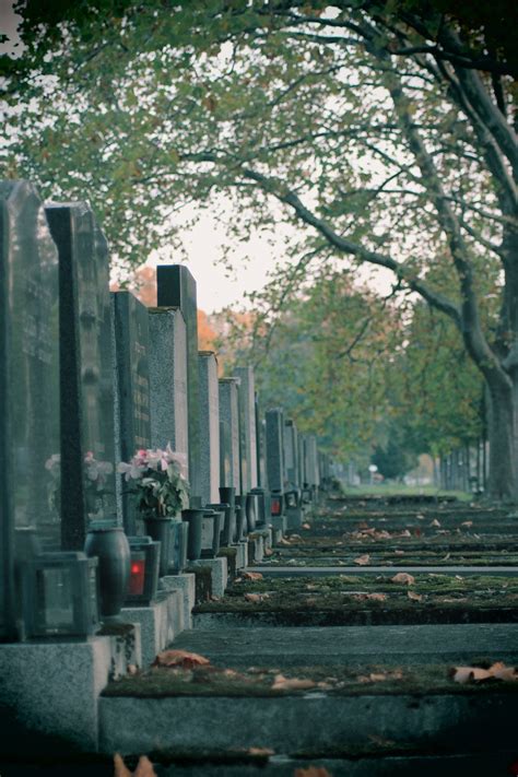 坟墓 的图像结果