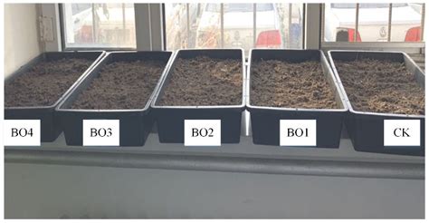 Effect of Biochar-Based Organic Fertilizers on the Transport and ...