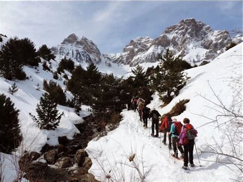 AU DELÀ DU BOULEVARD (2026) All You Need to Know BEFORE You Go (with ...