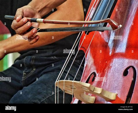 Bowed String Instrument