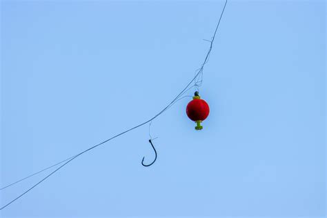 Foothills Nature Preserve - Palo Alto