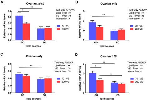 Vitamin E Ameliorates Impaired Ovarian Development, Oxidative Stress ...
