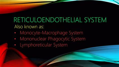 Components, development and functions of res(reticulo-endo-thelial ...