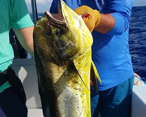 PANAMAX MARTINIQUE (2025) All You Need to Know BEFORE You Go (with ...