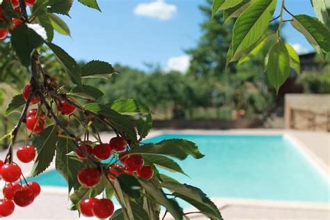 AGRITURISMO MACCHIAPIANA (Scansano, Province of Grosseto) - Ranch ...