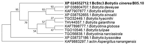Unravelling the Function of the Sesquiterpene Cyclase STC3 in the Life ...