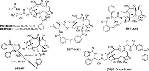 Use of the Tubulin Bound Paclitaxel Conformation for Structure-Based Rational Drug Design ...