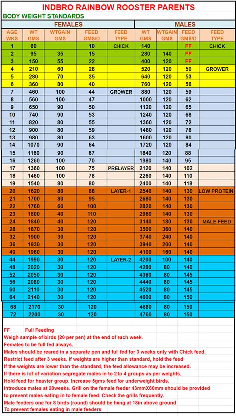 Rainbow Rooster Parents – Indbro