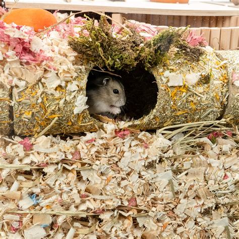 Buy Niteangel Creative & Composable Hamster Tunnel - DIY & Build Unique ...