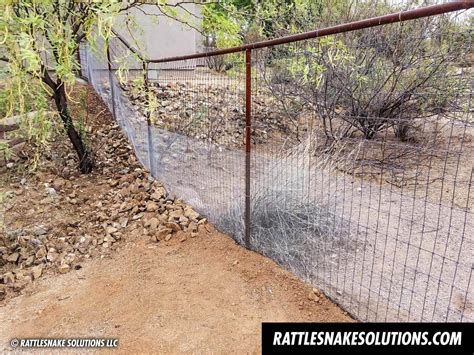 Snake Fence and Arizona Rattlesnake Prevention Fencing Installation ...